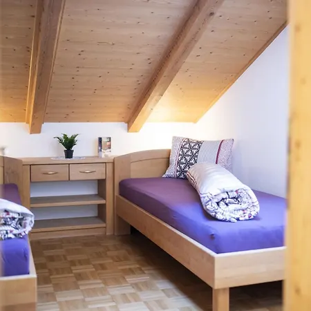 Apartment Chasa Porta 19 *