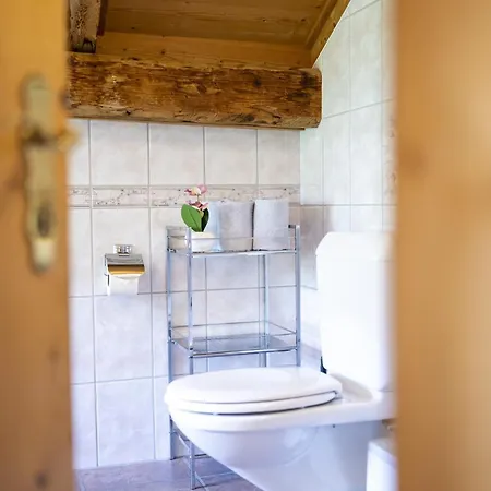 Chasa Porta 19 Apartment *