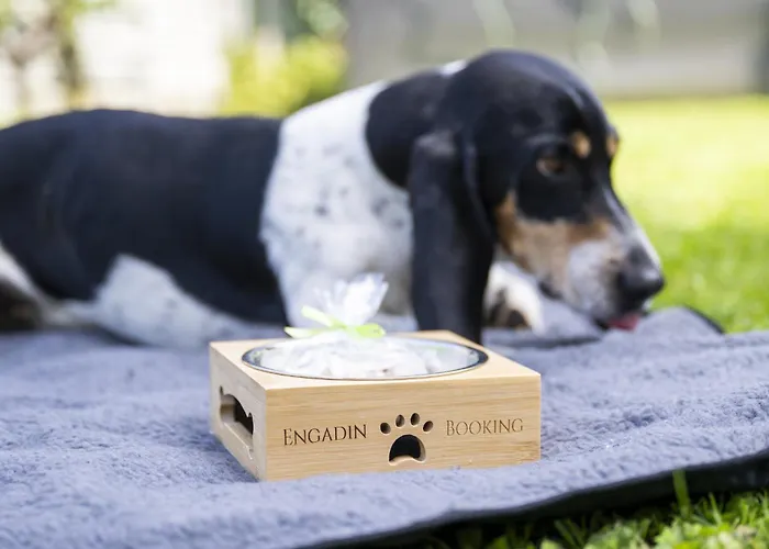 Apartmán Chasa Porta 19 *