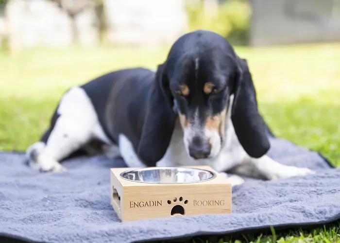 Chasa Porta 19 Scuol