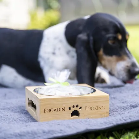 アパート Chasa Porta 19 *