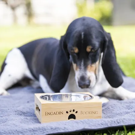 Chasa Porta 19 シュクオル